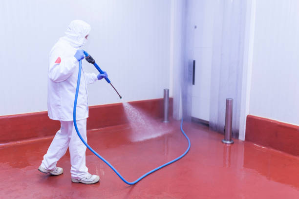 Best Paint Preparation  in Phillips, WI